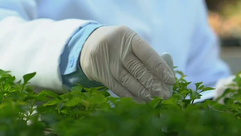 Female biologist checking soil moisture meter writing notes clipboard, research Видео 118912912