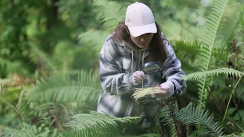 Female biologist is using a magnifying glass to look at plants with pest leaves Stock Footage 235672465