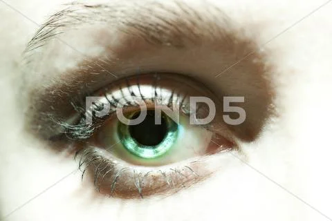 Female blue eyes with dilated pupils close Stock Photos