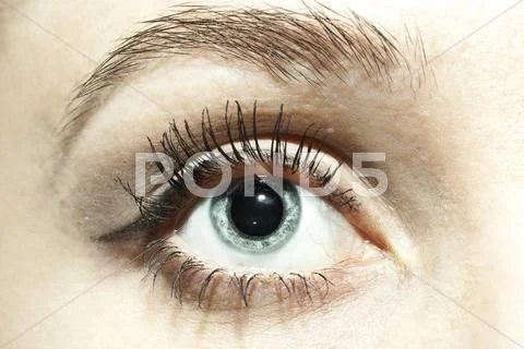 Female blue eyes with dilated pupils close Stock Photos