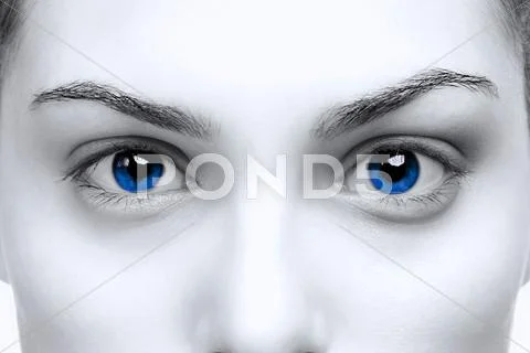 Female blue eyes Stock Photos