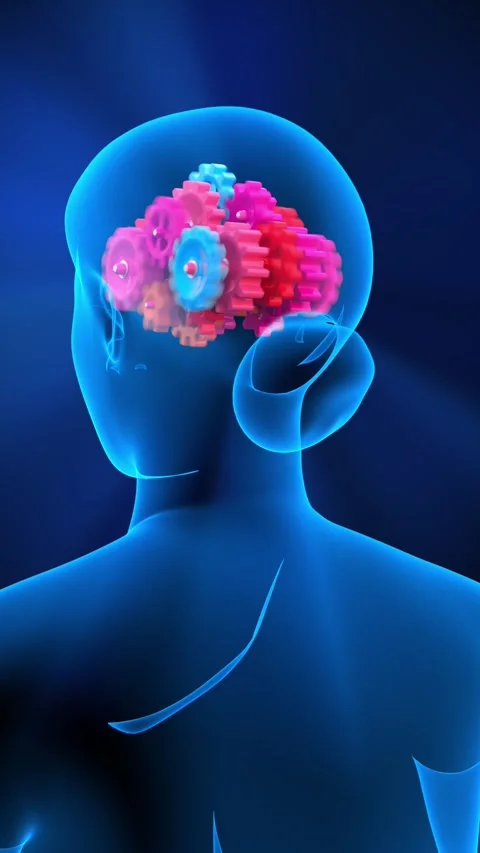 Female body, 3D computer video. Stock Footage 310323822