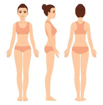 Female body chart template Illustrazione stock