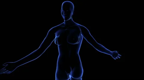 Female Body 動画素材 63207455
