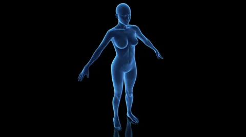 Female Body Loop Stock Footage 33849496