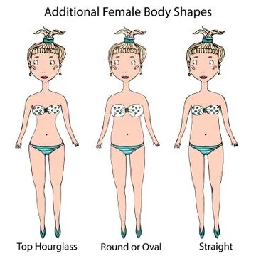 Female Body Shape Types. Top Hourglass, Round or Oval and Straight . Realistic Stock Illustration
