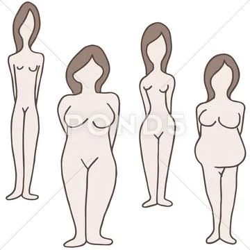 Female body types Stock Illustration
