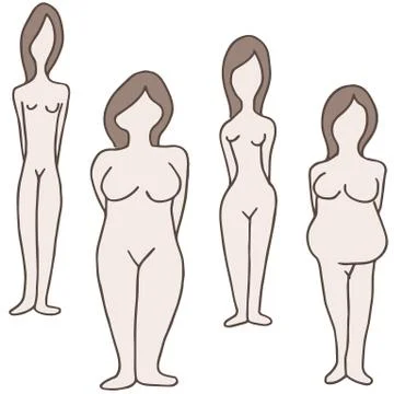 Female body types Stock Illustration