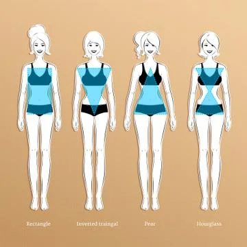 Female body types Stock Illustration
