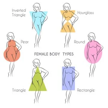 Female Body Types Stock Illustration