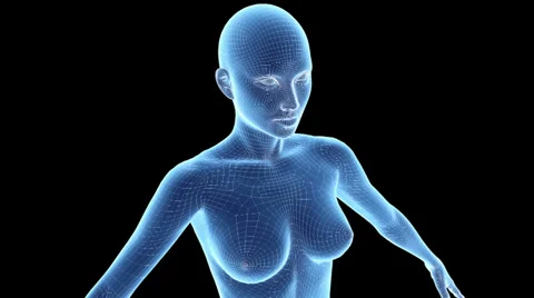 Female Body Wireframe Stock-Footage 33849624