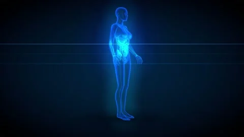 Female body - x-ray scan with organs and skeleton Stock Footage 167796533