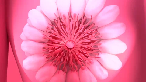 lotus pod photoshop breast