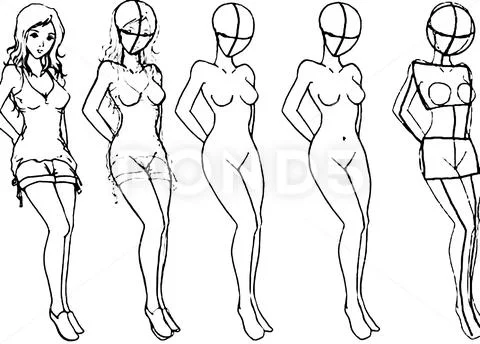 Female breast drawing tutorial. Drawing a woman's body with an emphasis on  br: Graphic #132293809