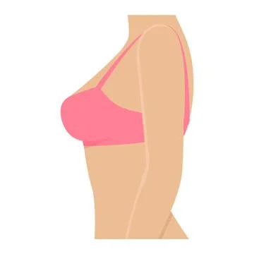 Female breasts in the bra Stock Illustration