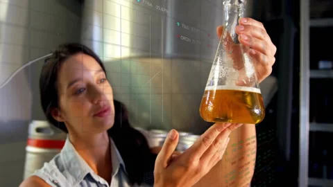 Female brewer lifting flask to light, rotating and inspecting sample amid Stock Footage 311049084