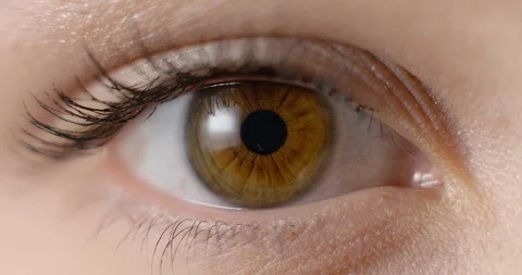 Female Brown Blinking Eye Macro Shot Stock Footage 102141181