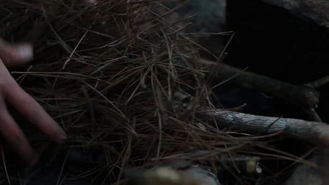 Female builds a fire Stock Footage 75409892