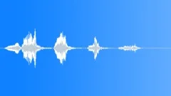 Female cackle laughterSound Effect