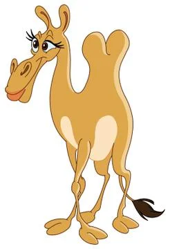 Female camel Stock Illustration