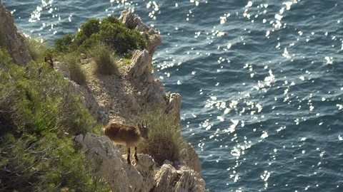 Female on the cliff Stock Footage 106208739