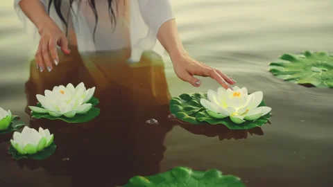 Female closeup hand gently stroking touching plant water lily white flowers Stock Footage 311834881