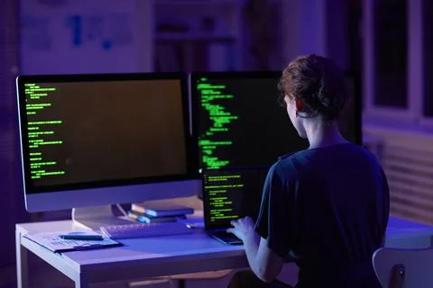 Female Computer Programmer At Work Foto stock