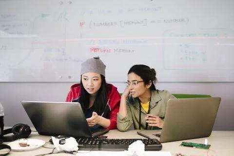 Female computer programmers coding at laptops in conference room 스톡 사진