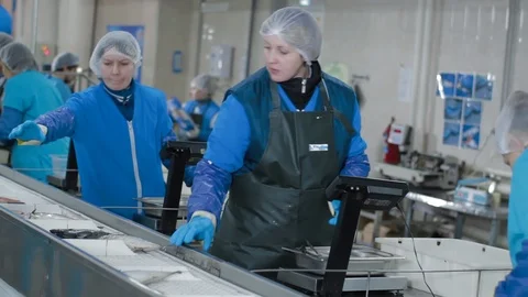 Female controllers checking the quality of fish and distributes it on a conveyor Stock-Footage 125828613