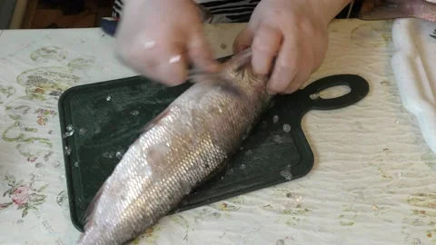 A female cook cleans raw fish. Healthy food concept Vídeos de archivo 138010779