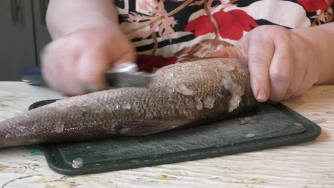 A female cook cleans raw fish. Healthy food concept 動画素材 138015334