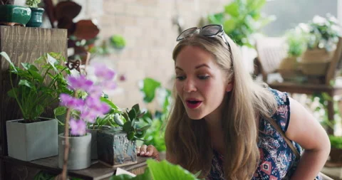 Female customer browsing closely looking at potted plants and finds a beautiful Stock Footage 199458613