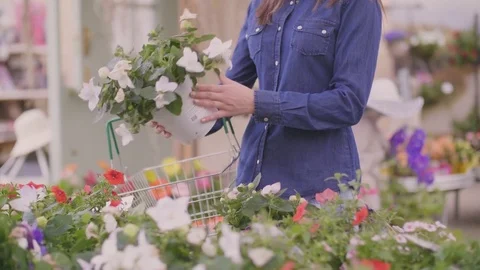 Female customer carrying basket while choosing flower pots at shop Stock Footage 79659857