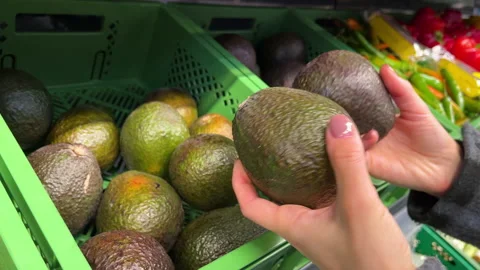 Female Customer Hand Choosing between two Avocados in Supermarket. Healthy food Stock Footage 219348235