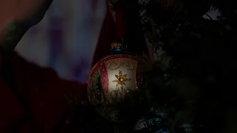Female decorating Christmas tree Vidéo 219462461