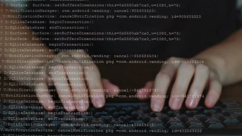 Female developer is typing programming software script source code on keyboard Stock Footage 114258016