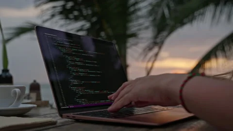 Female developer working on laptop by the ocean. Young woman freelancer coding Stock Footage 234900325