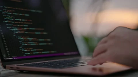 Female developer working on laptop by the ocean. Young woman freelancer coding Stock Footage 238550614