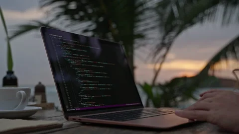 Female developer working on laptop by the ocean. Young woman freelancer coding Stock Footage 243293140