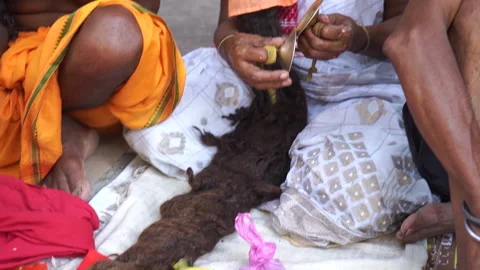 Female devotee with dreadlocks playing bell near Kamakhya Temple Guwahati Stock Footage 339269424