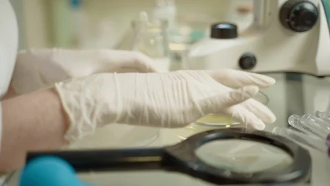Female Doctor In Laboratory With Microscope Видео 127250810