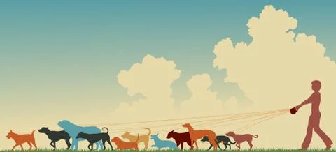 Female dog walker Stock Illustration