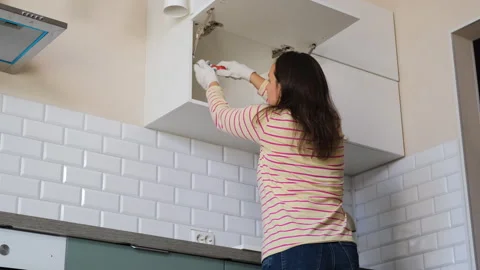 Female doing renovation assembling kitchen set Stock Footage 317321450