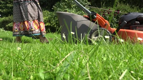Female with dress cut grass with lawn mower garden summer. 4K Stock Footage 59137947