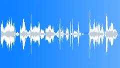 Female Drunk Talk 6 Sound Effect
