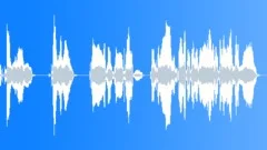 Female Drunk Talk 7 Sound Effect