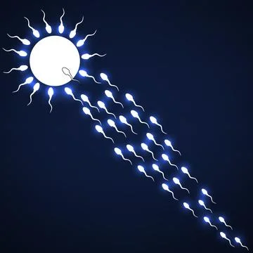 Female egg surrounded by sperm. Concept of the birth of new life. Vector illu Stock Illustration