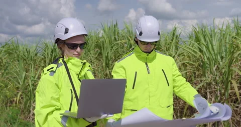 Female engineer using laptop showing data to colleague discussing renewable Video stock 335218777