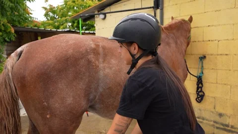 Female equestrian uses a tool to rinse and dry her horse in the stables while Video stock 333678428
