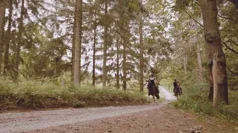 Female Equestrians Balancing While Riding on Brown Horses on a Tight Road Stock Footage 158856680